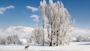 Doğu'da en düşük hava sıcaklığı Kars'ta ölçüldü