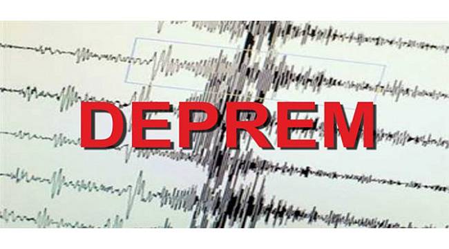 Gürcistan'da Deprem Rize'den Hissedildi