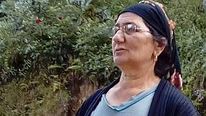 Rize'de Başına Odun Düşen Kadın Hayatını Kaybetti
