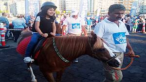 Pony Atları, Karadeniz'deki Çocukları Eğlendirmek İçin Gelecek
