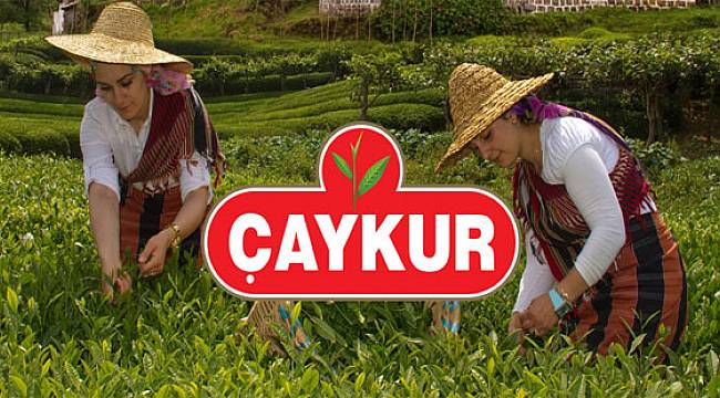 ÇAYKUR, Temmuz Ayı Çay Bedellerini Üreticilerin Hesaplarına Aktarmaya Başladı
