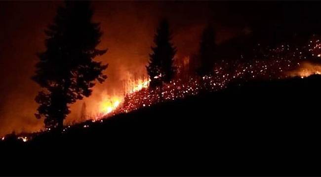 İçişleri Bakanlığı: Karadeniz'deki Yangınlarda Terör İzine Rastlanmamıştır