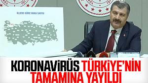 Koronavirüs Türkiye'nin tamamına yayıldı