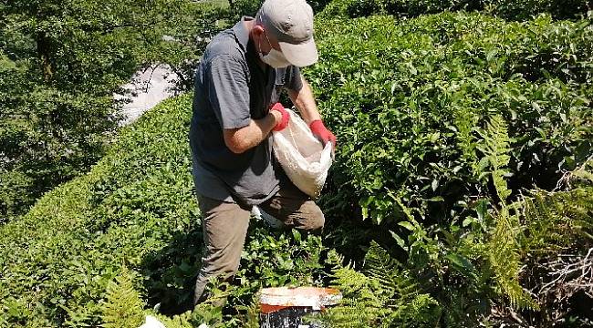 Çay Üreticileri Bu Kez Gübreleme İçin Çay Bahçesine Girdi