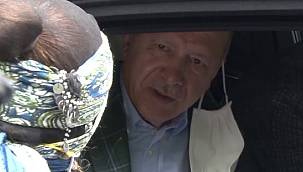 Cumhurbaşkanı Erdoğan, Ayder Yaylası'nda