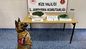 Rize'de Uyuşturucu Operasyonu: 2 Gözaltı