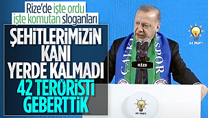 Cumhurbaşkanı Erdoğan: Teröristler alçakça katliam yaptı
