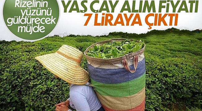 Cumhurbaşkanı Erdoğan, yeni yaş çay alım fiyatını açıkladı