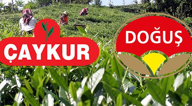 ÇAYKUR ve DOĞUŞ Çay, Türkiye'nin 500 sanayi kuruluşu arasında